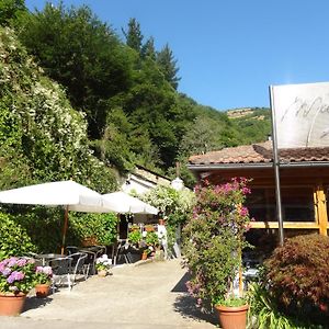 Hotel Restaurante Marroncín